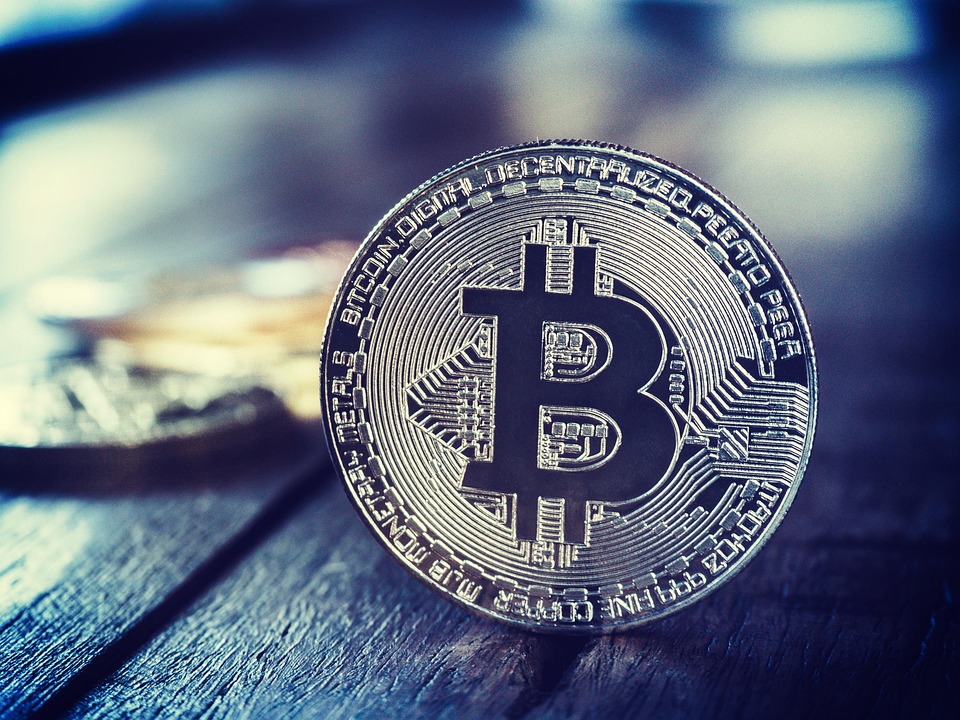 马斯克回归特斯拉、减少DOGE工作！TSLA与狗狗币双双暴涨